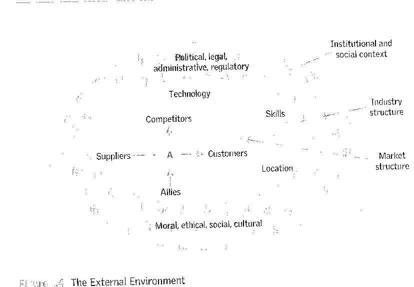 External Environment